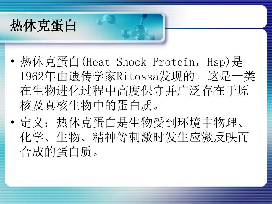 热休克蛋白-HSP90.ppt_第2页