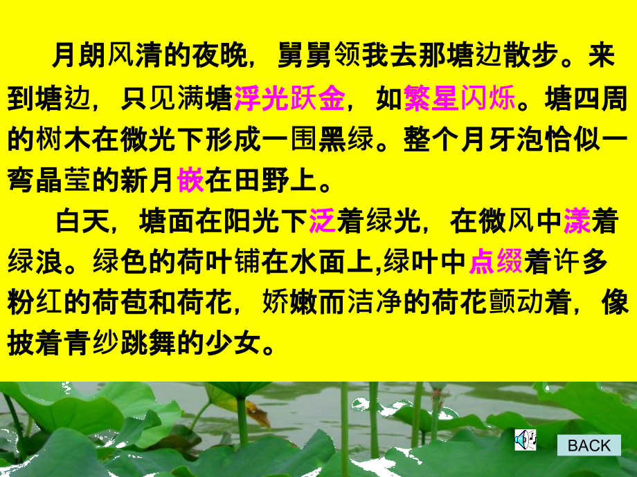 荷塘旧事.ppt_第2页