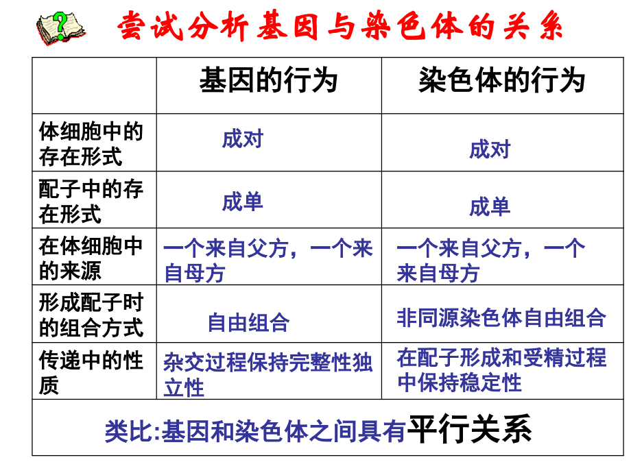 染色体学说.ppt_第2页