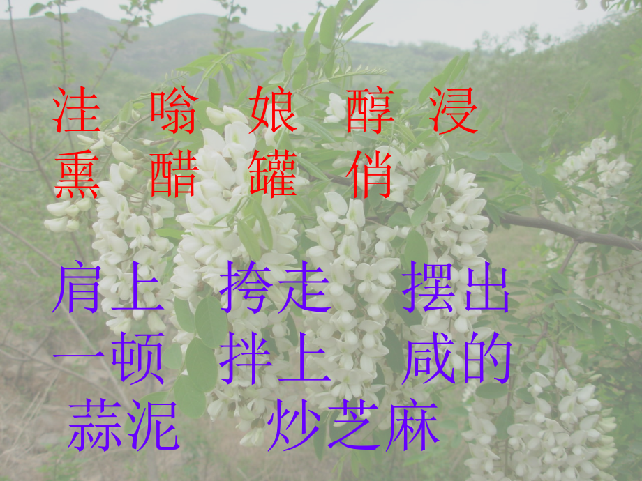 槐乡五月课件.ppt_第2页