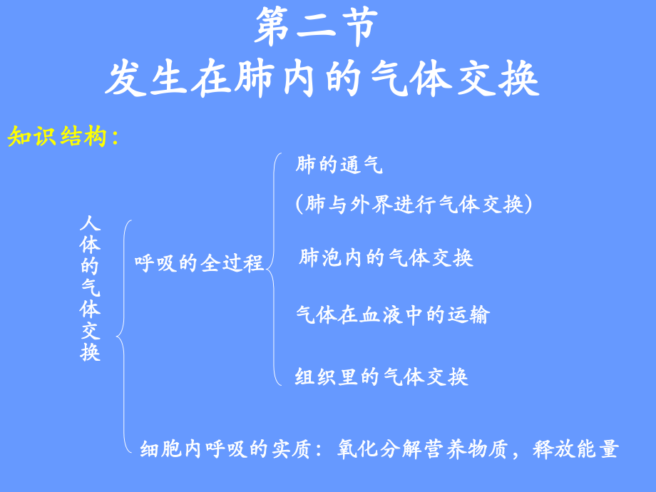 发生在肺内的气体交换2.ppt_第2页