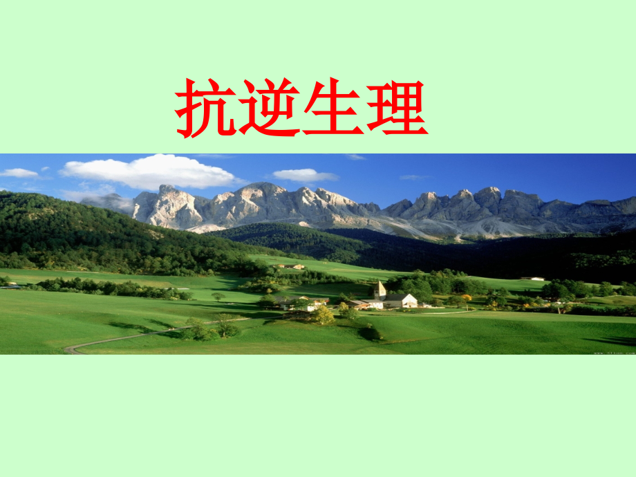 抗逆生理..ppt_第1页