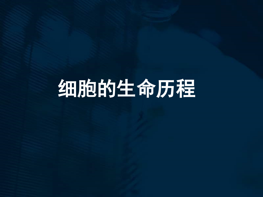 细胞增殖(一轮复习).ppt_第1页