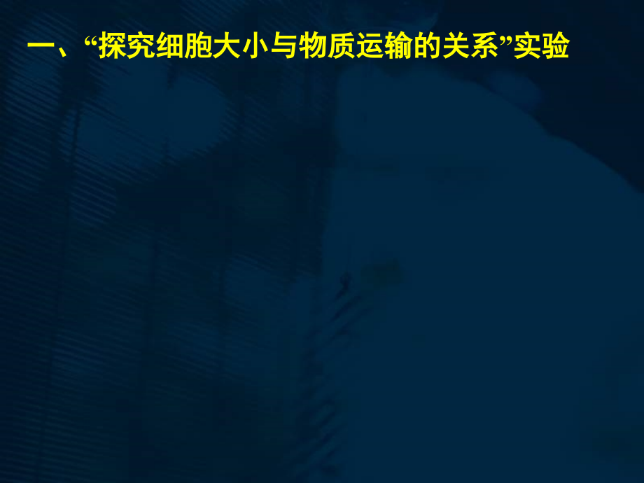 细胞增殖(一轮复习).ppt_第2页