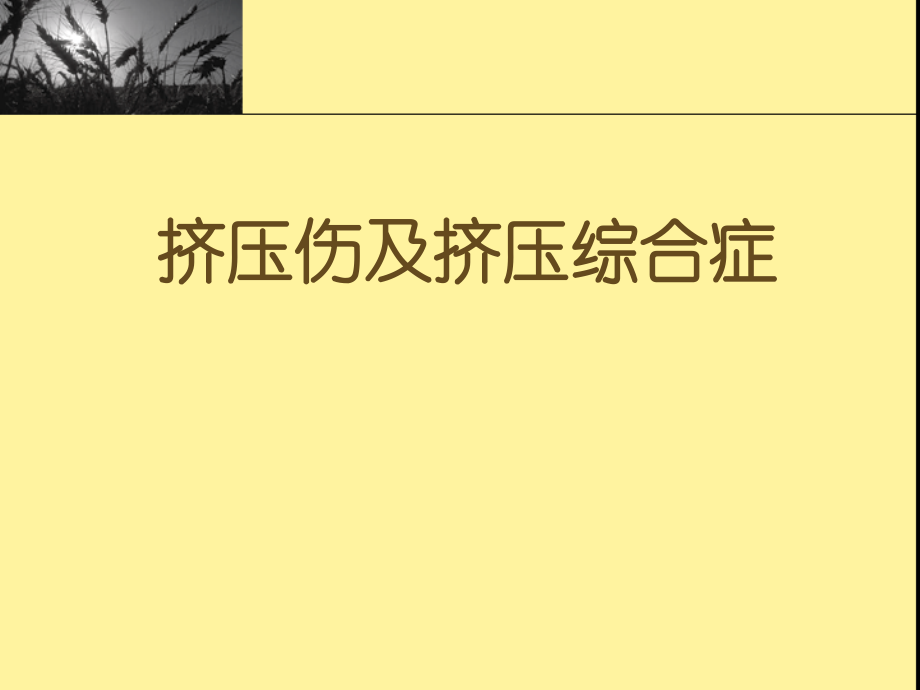 挤压伤及挤压综合.ppt_第1页