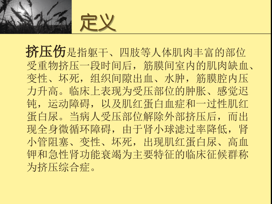 挤压伤及挤压综合.ppt_第2页