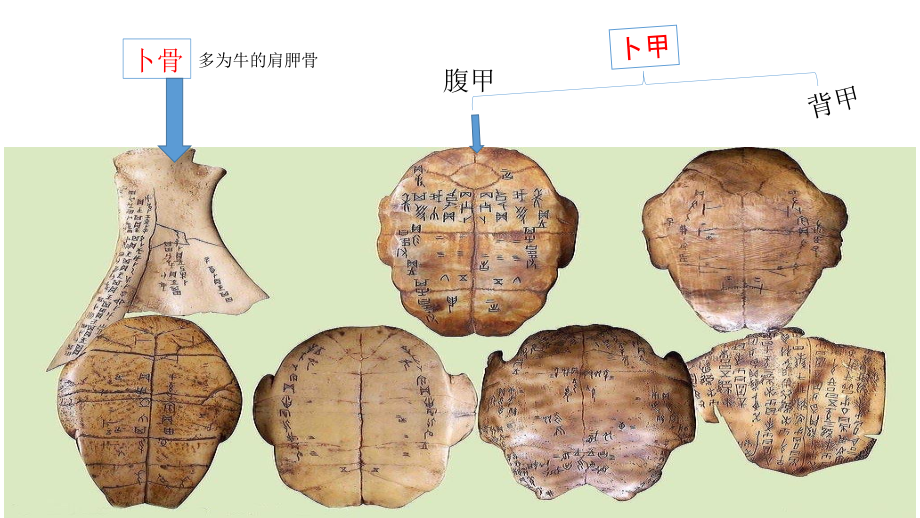 中国古典文献的载体形式之甲骨文.pptx_第2页