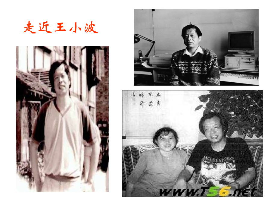 驴和人的新寓言.ppt_第2页