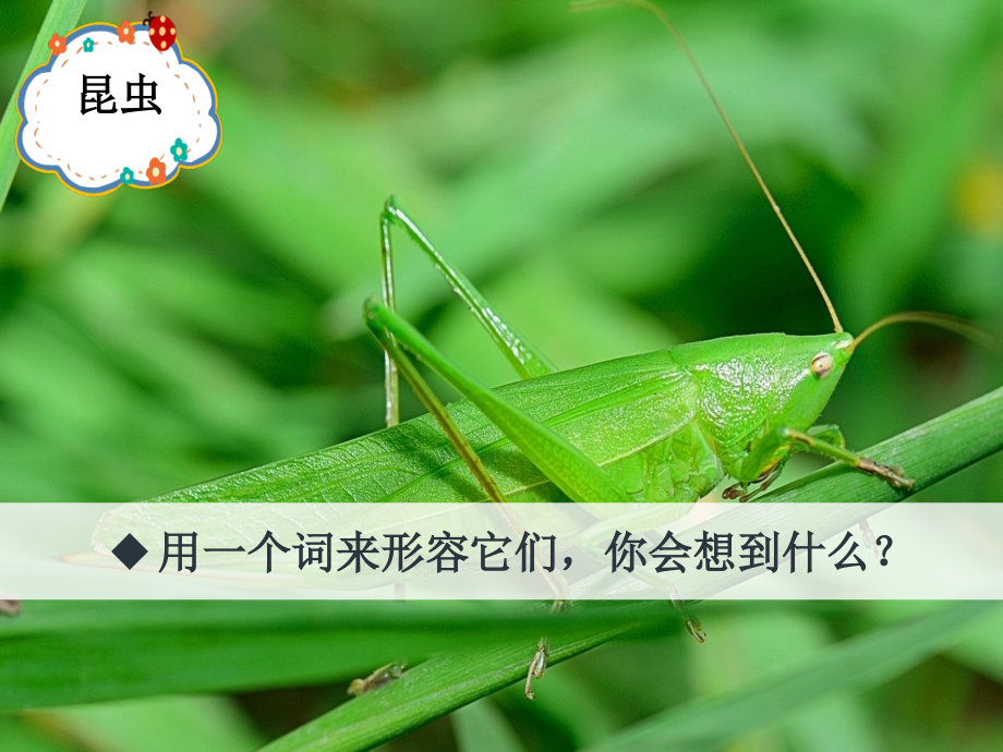 小学体育与健康浙教课标版三～四年级-新建-Microsoft-PowerPoint-演示文稿.pptx_第1页