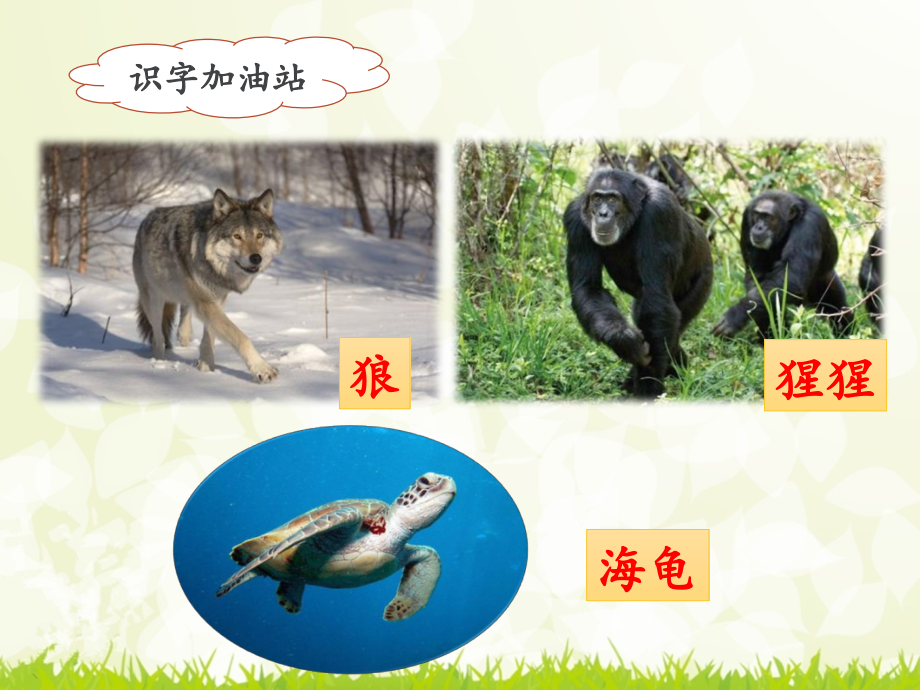 全国部编版二年级语文上册《语文园地八》.ppt_第2页