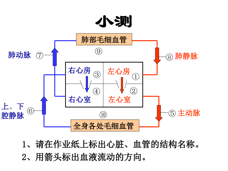 血压和脉搏.pptx_第1页