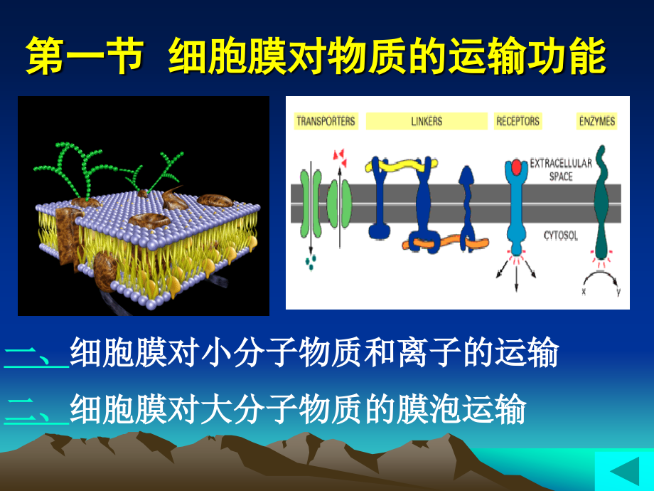 细胞膜的功能...ppt_第2页