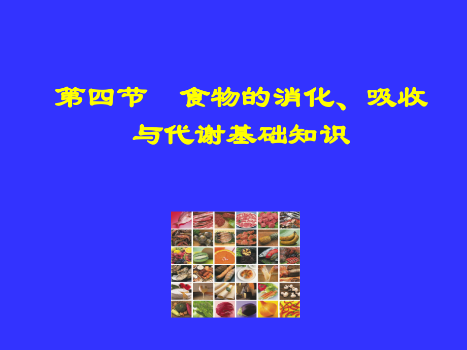 食物的消化、吸收.ppt_第1页
