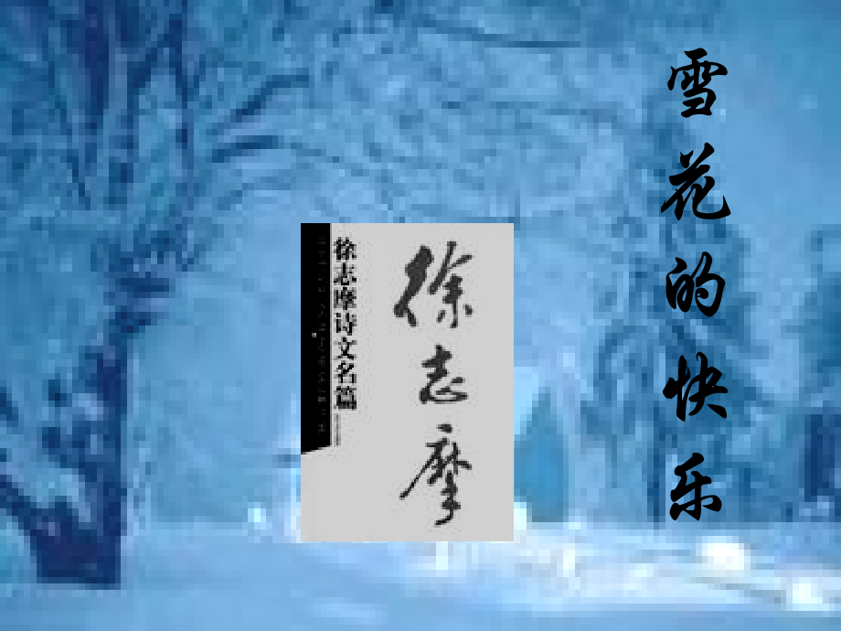 鄂教初中语文七下《诗两首雪花的快乐》(四).ppt_第1页