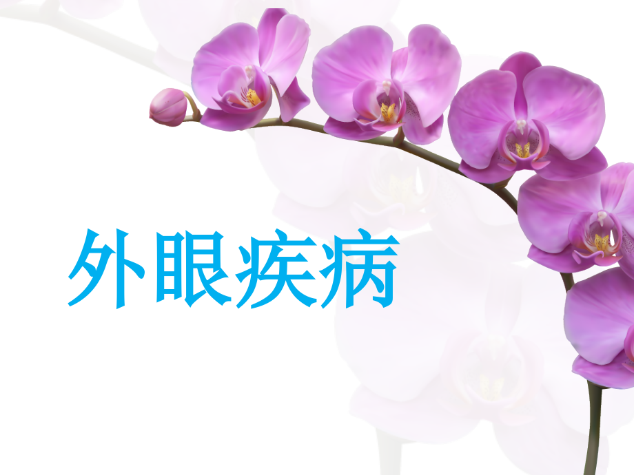 眼睑病-lgy.ppt_第1页
