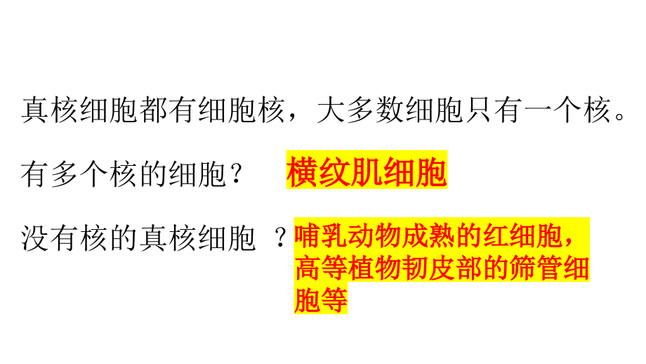 高中生物学浙科版必修1-分子与细胞(2019)-2.42.5细胞核是遗传和代谢的控制中心细胞膜系统.pptx_第2页