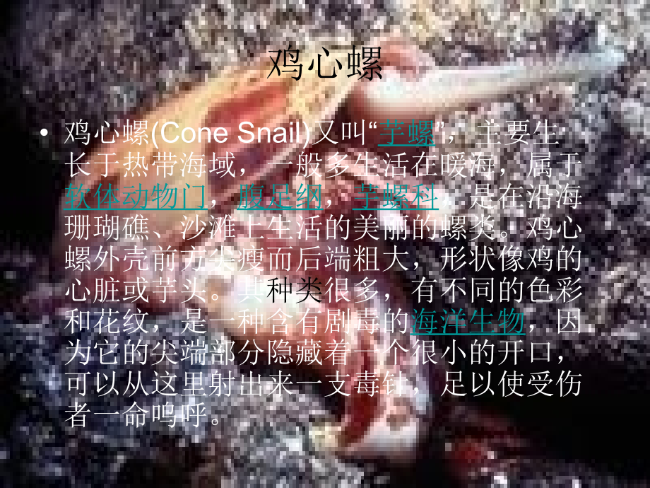 毒王排行版.ppt_第2页