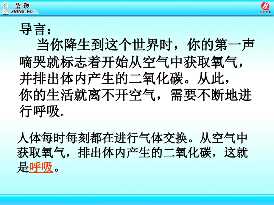 likun呼吸道对空气的处理(1).ppt_第2页