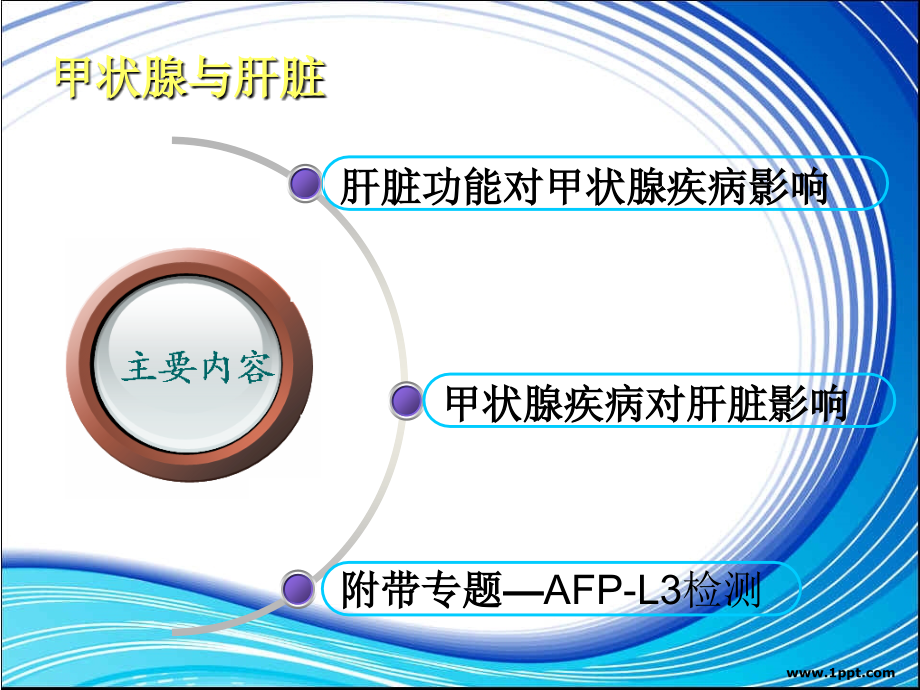 甲状腺功能与肝功能浅析.ppt_第2页