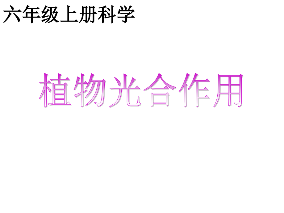 植物光和作用.ppt_第1页
