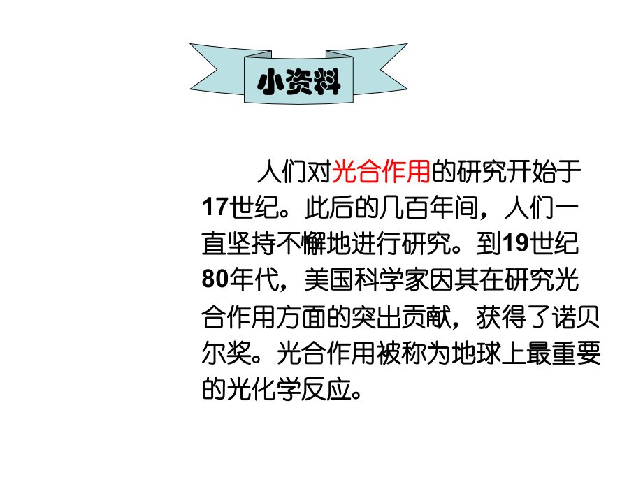 植物光和作用.ppt_第2页