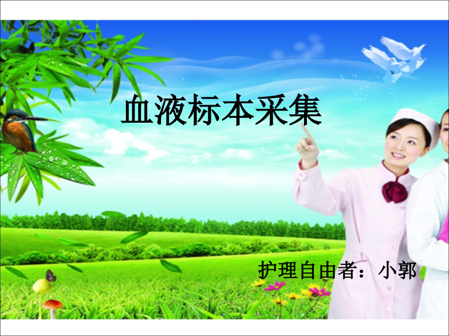 血液标本采集ppt.ppt_第1页