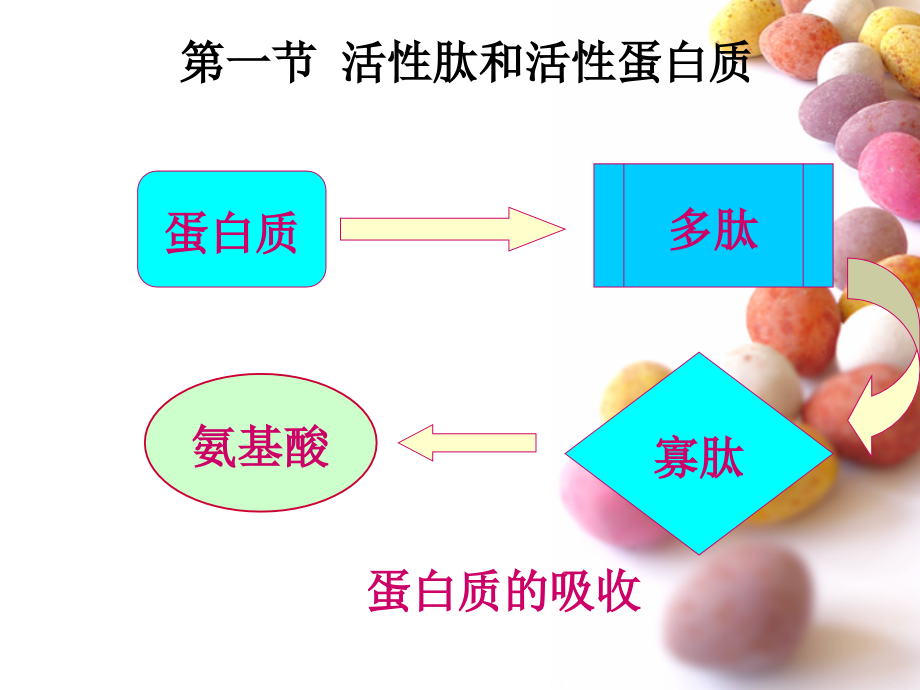 活性肽、活性蛋白质和功能性油脂.ppt_第1页