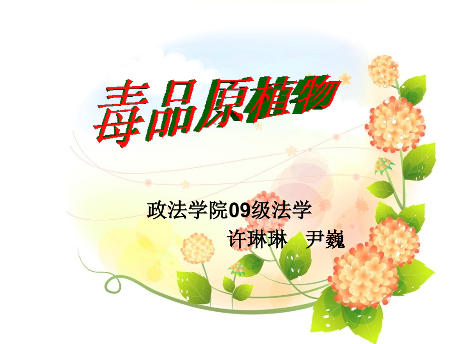 毒品原植物.ppt_第1页