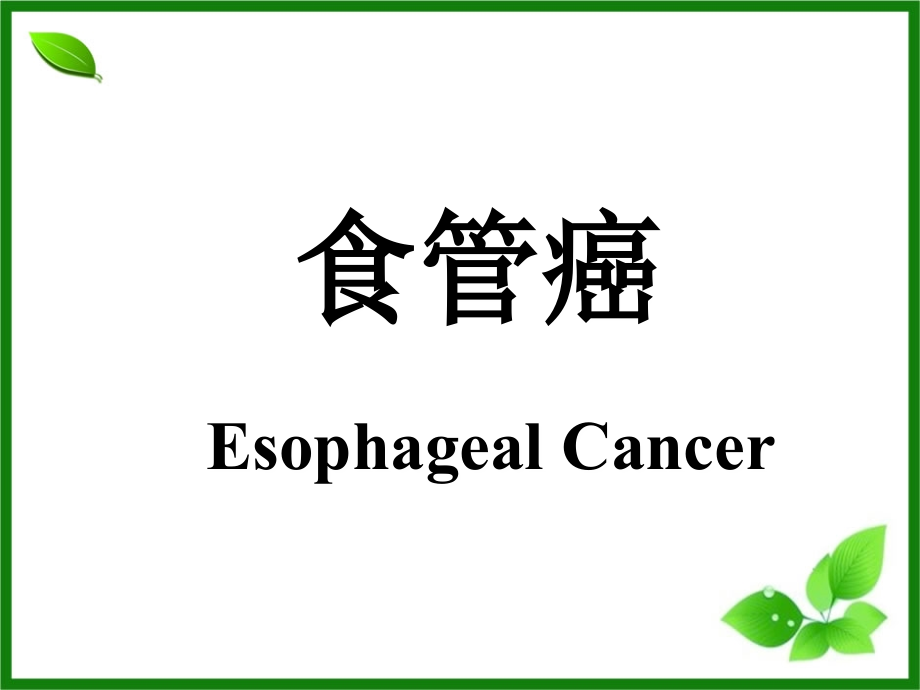 食管癌新资料.ppt_第1页