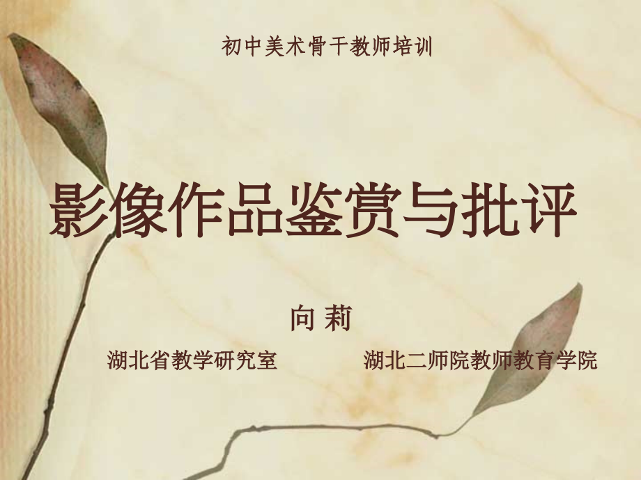 影像作品鉴赏与批评.ppt_第1页