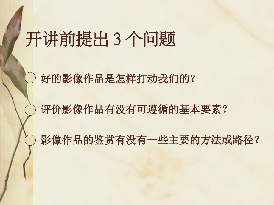 影像作品鉴赏与批评.ppt_第2页