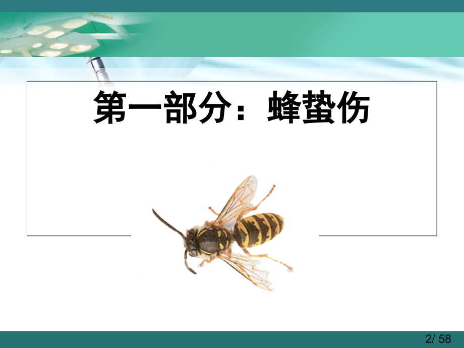 常见动物咬伤.ppt_第2页