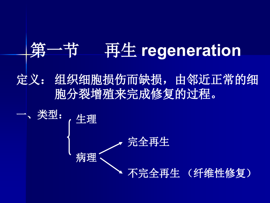 新生的毛细血管增生的纤维母细胞一定量的炎性细胞肉芽组织的结构.ppt_第2页
