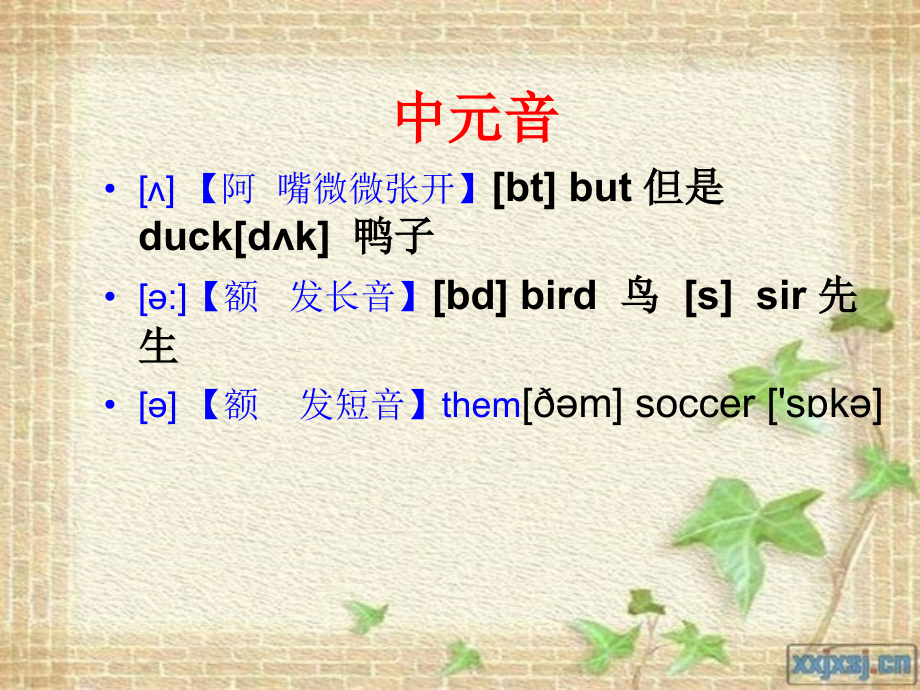 国际音标发音表.ppt_第2页