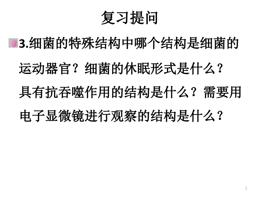 细菌的生长繁殖与代谢.pptx_第2页