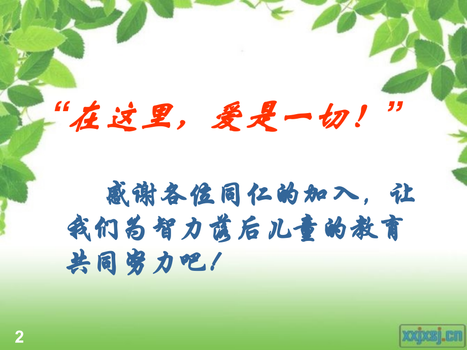 特殊儿童-智障-(新).ppt_第2页