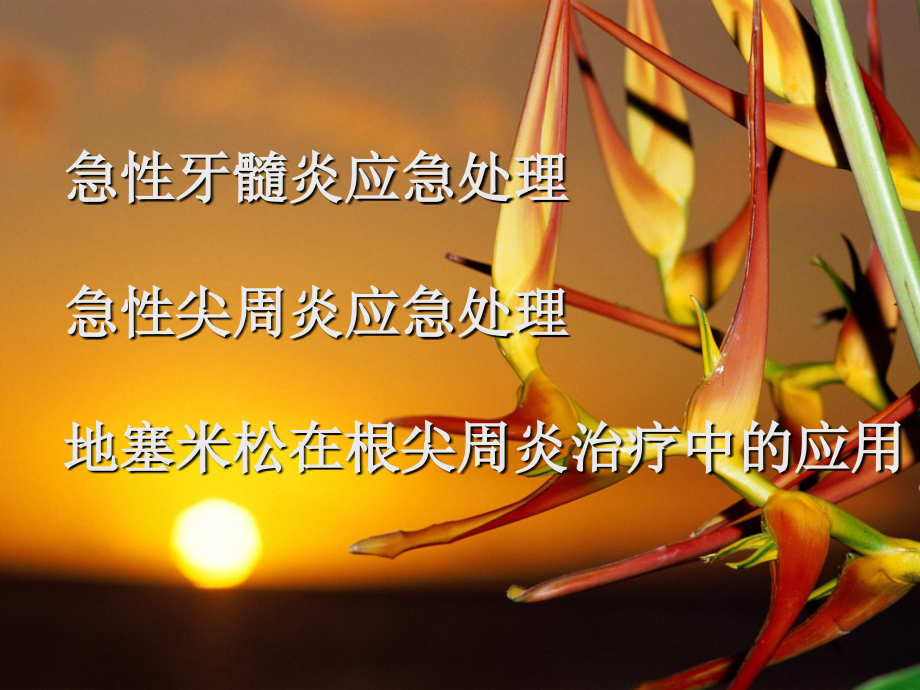 急性牙髓炎应急处理..ppt_第1页