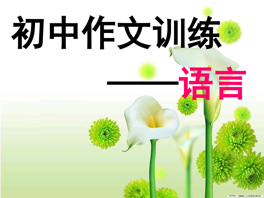 作文训练语言.ppt_第1页