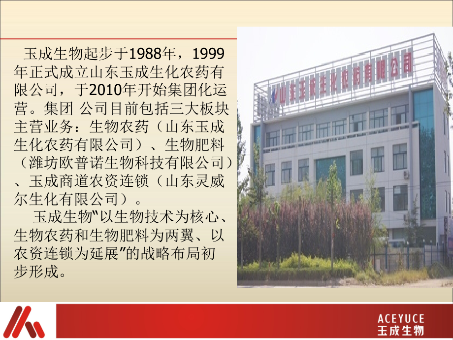 山药123答案.ppt_第2页