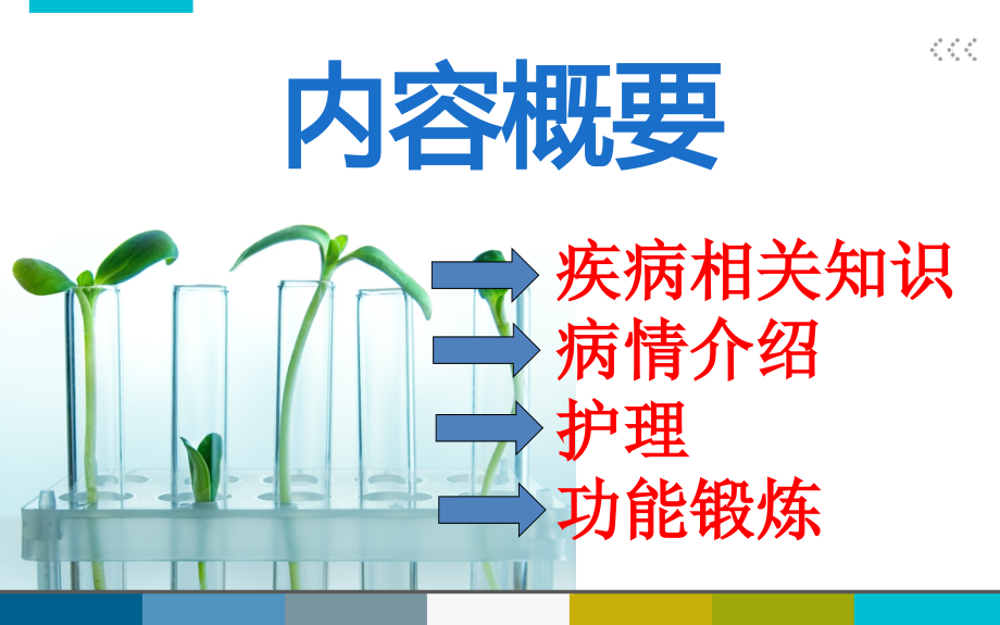 小脑扁桃体下疝畸形[1].ppt_第2页