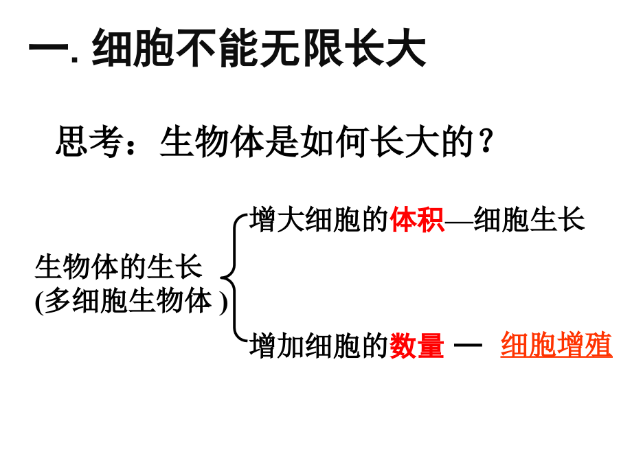 llm细胞增殖.ppt_第2页