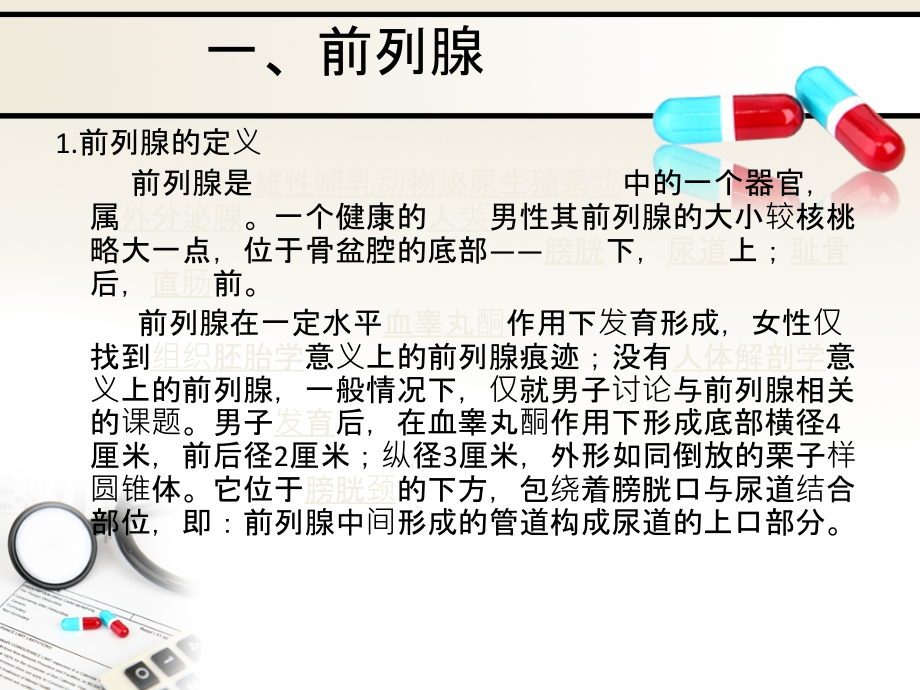 泌尿系统—前列腺.ppt_第2页