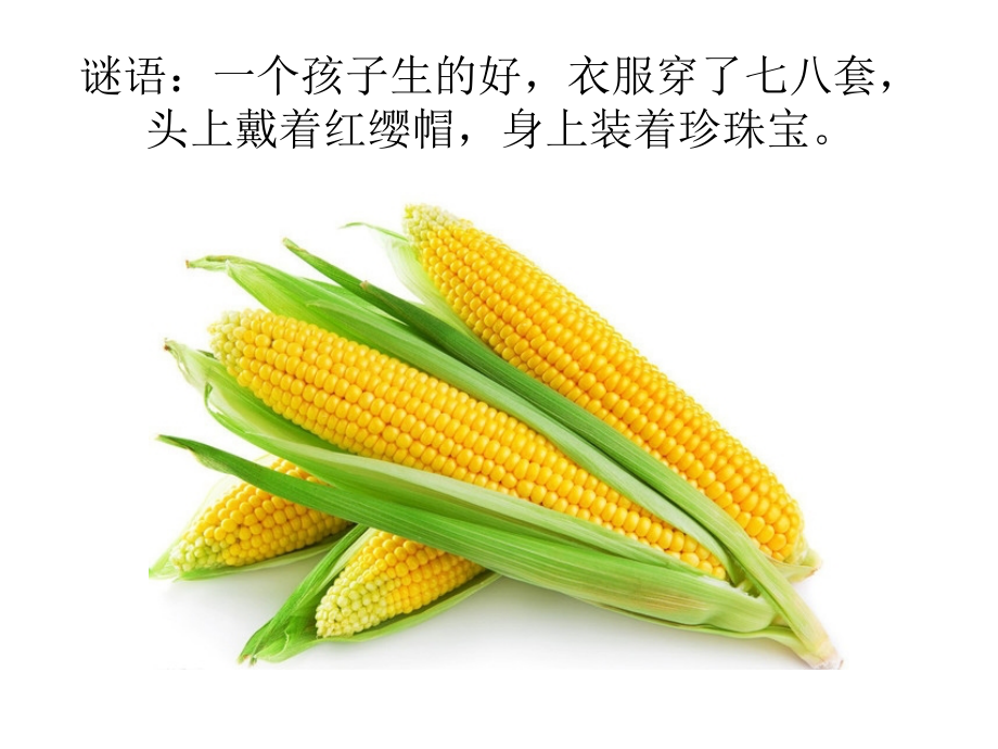 第十一课中国结艺.pptx_第2页