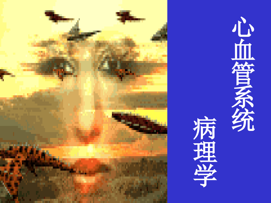 动脉粥样硬、冠心病.ppt_第1页