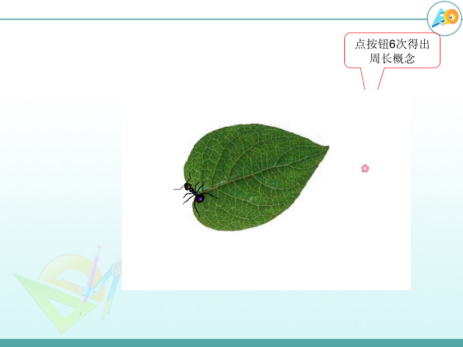 三年级上周长.ppt_第2页