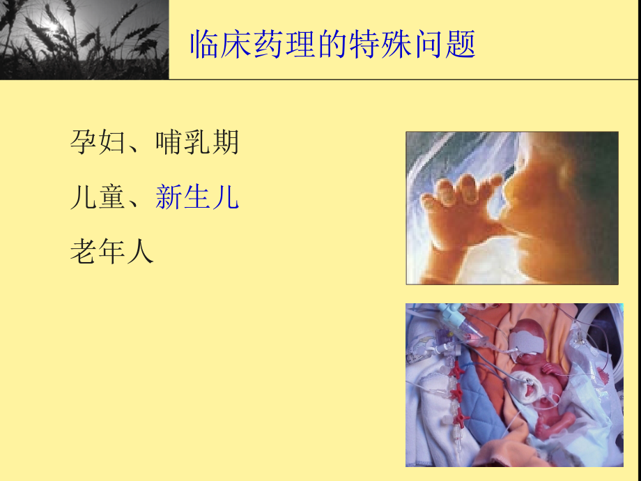 新生儿科用药特点.ppt_第2页