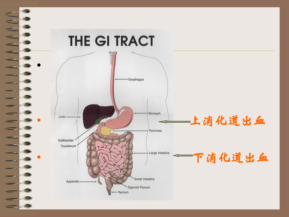 上消道大量出血-文档.ppt_第1页