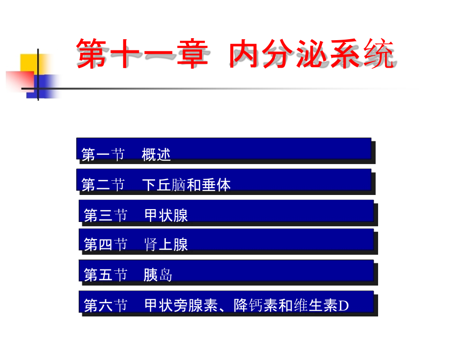 内分泌PPT.pptx_第1页