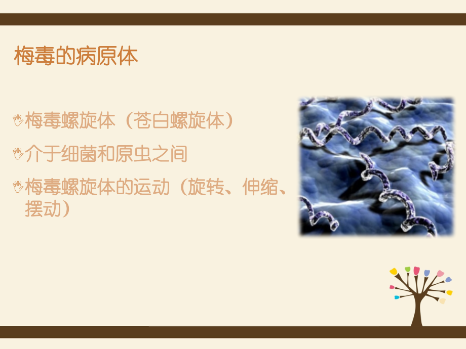 梅毒的流行与防治措施.pptx_第2页