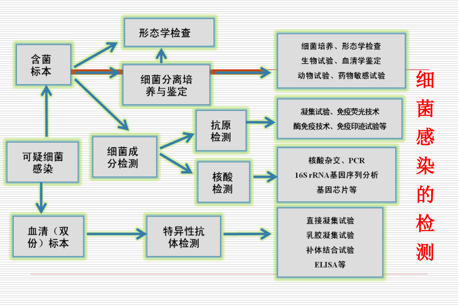 二细菌的生长繁殖消毒与灭菌.ppt_第1页